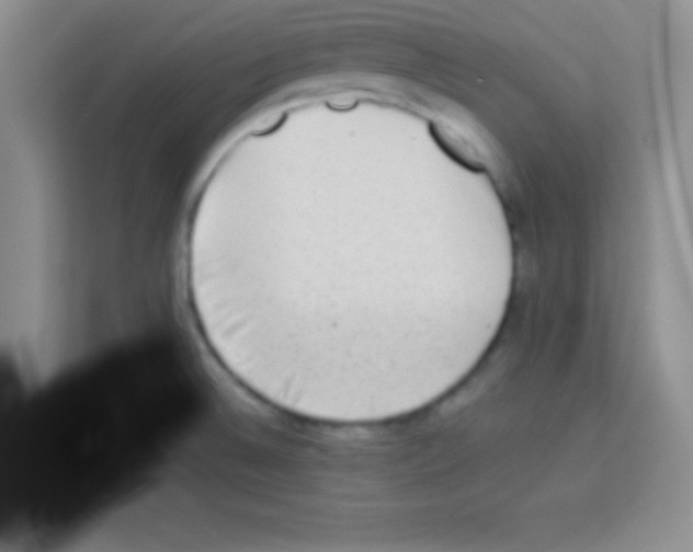 X0000113021524200910081149