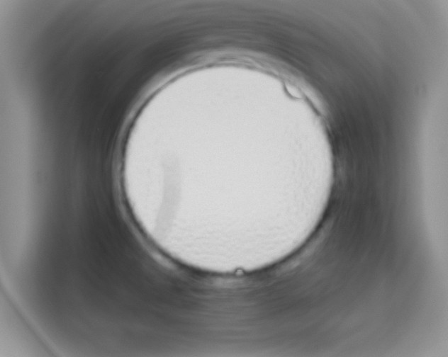 X0000113021525200910081149