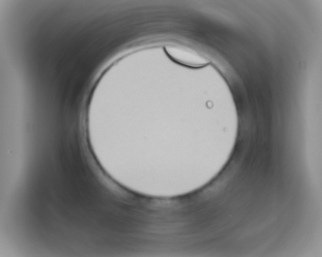 X0000113021526200910081149