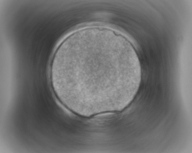 X0000113021527200910081149