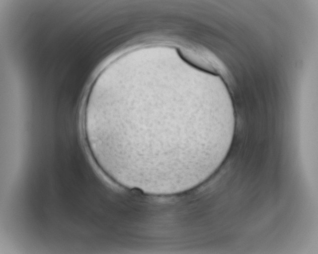 X0000113021528200910081149