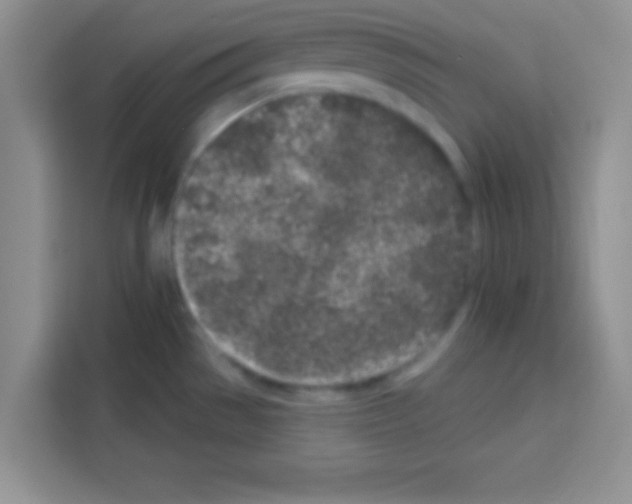 X0000113021529200910081149