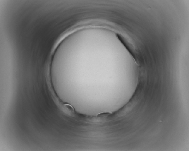 X0000113021530200910081150