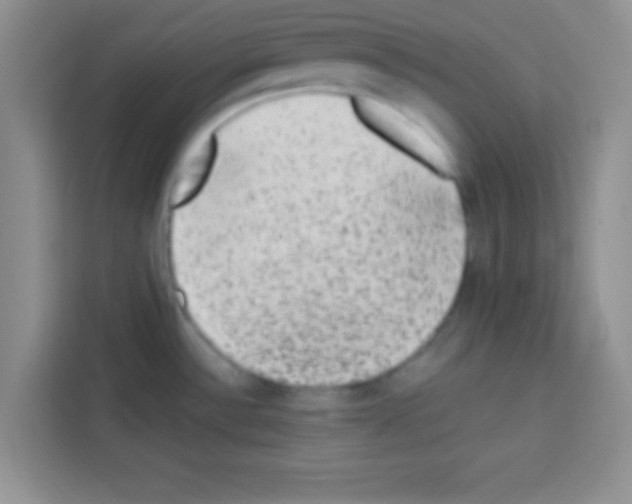 X0000113021532200910081150