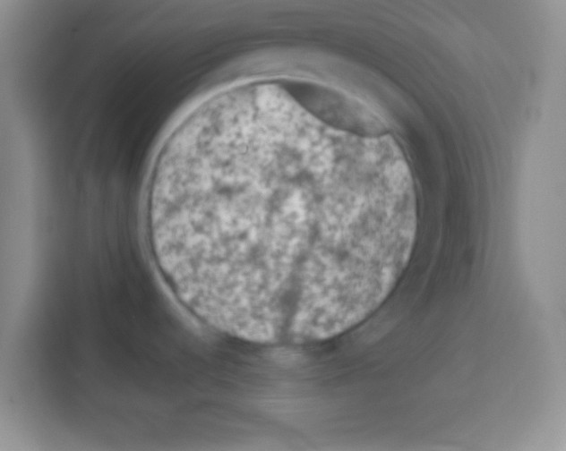 X0000113021536200910081150