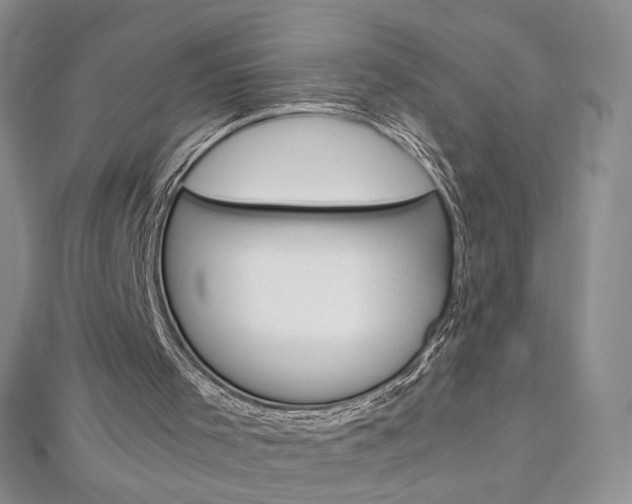 X0000113030001200908271105