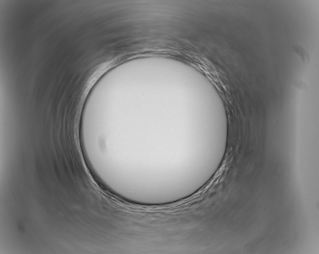 X0000113030003200908271105