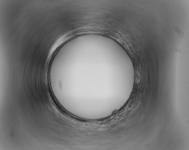 X0000113030004200908271105