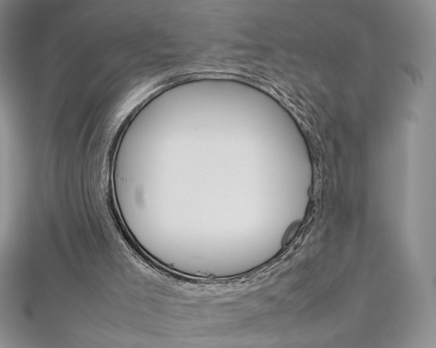 X0000113030005200908271105