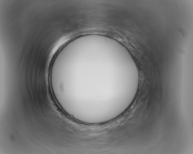 X0000113030006200908271105