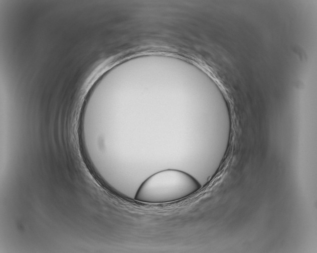 X0000113030007200908271105