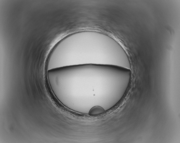 X0000113030008200908271105