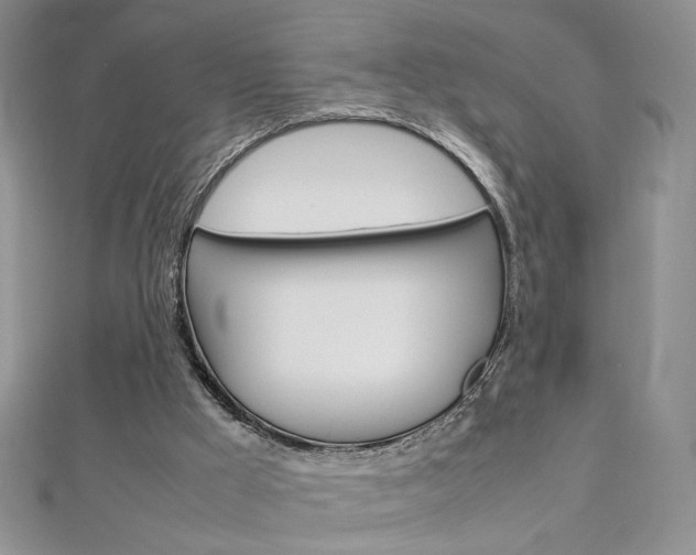 X0000113030009200908271105