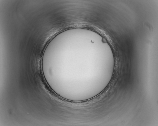 X0000113030010200908271105