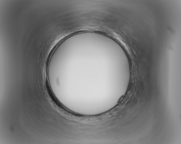 X0000113030011200908271105