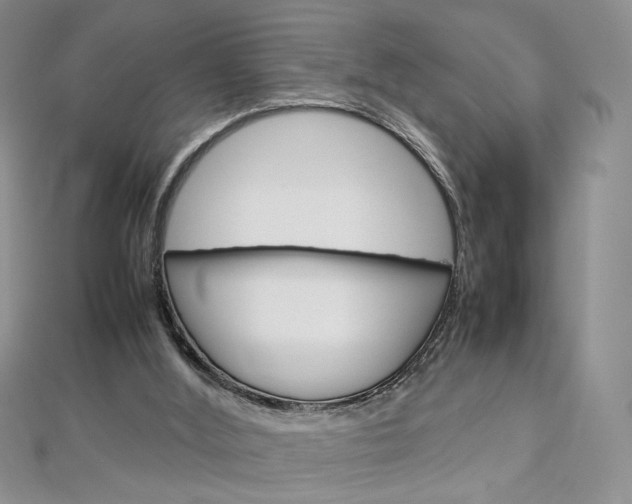 X0000113030012200908271105