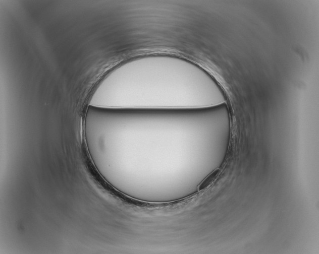 X0000113030013200908271105