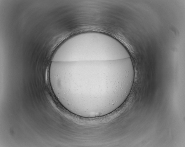 X0000113030014200908271105