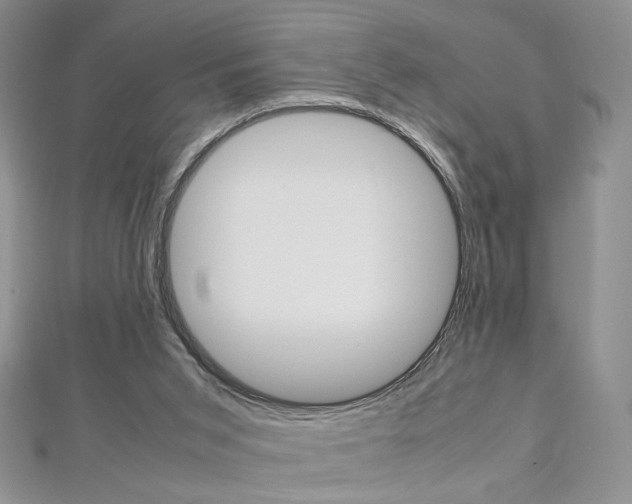 X0000113030015200908271105