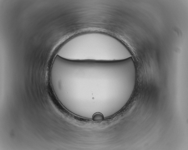 X0000113030016200908271105