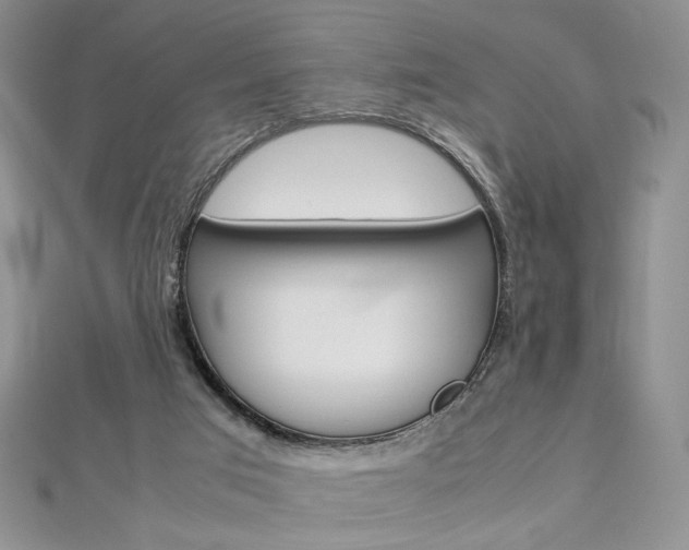 X0000113030017200908271105