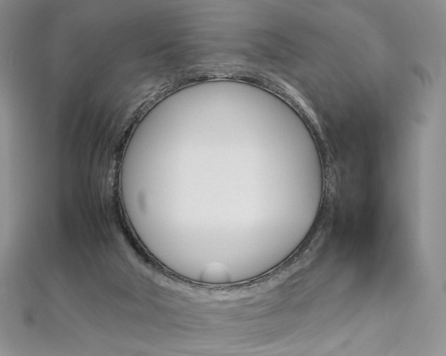 X0000113030018200908271105