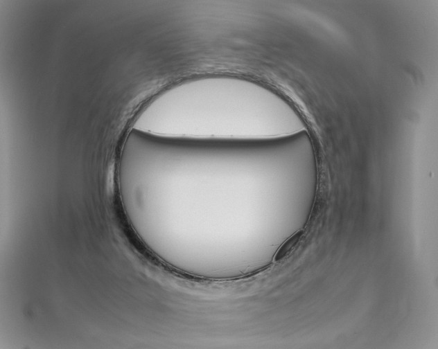 X0000113030019200908271105