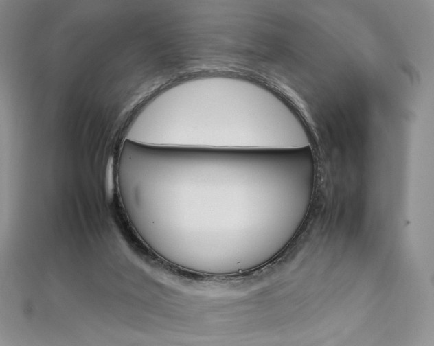 X0000113030020200908271105