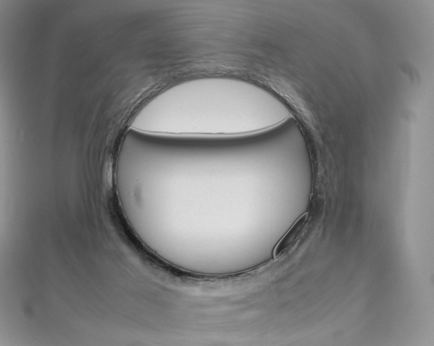 X0000113030021200908271105