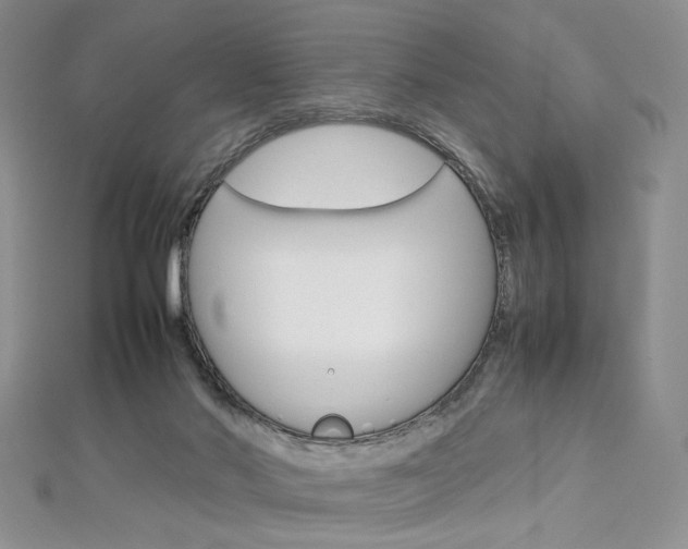 X0000113030022200908271105