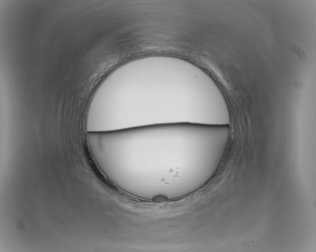 X0000113030023200908271105