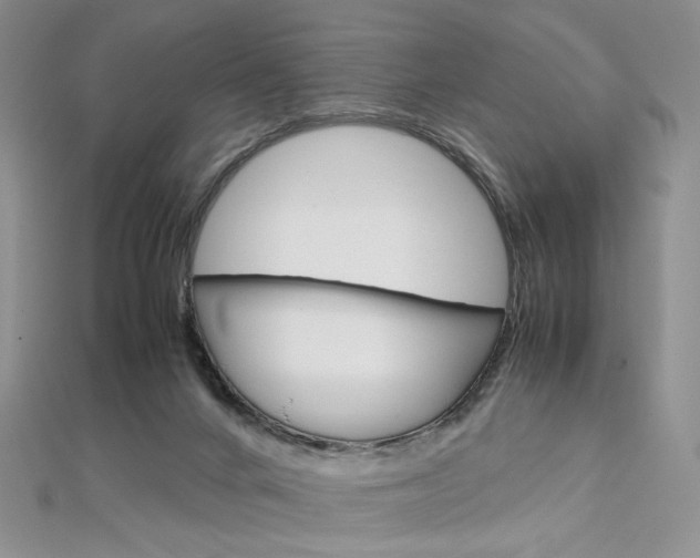 X0000113030024200908271105