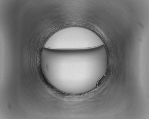 X0000113030025200908271105