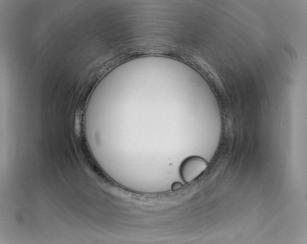 X0000113030026200908271105