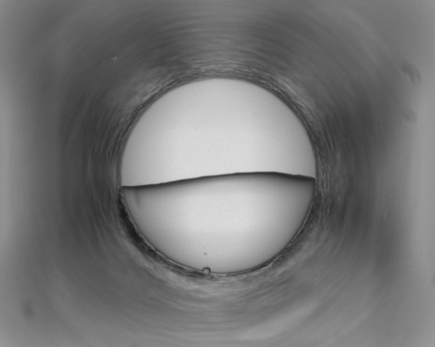 X0000113030028200908271105