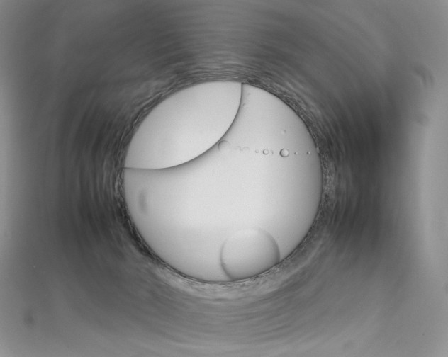 X0000113030030200908271105