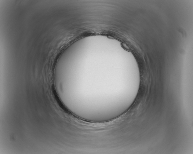 X0000113030031200908271105