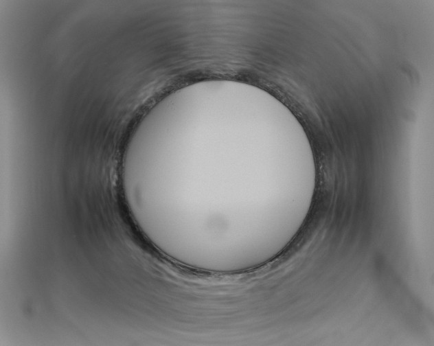 X0000113030032200908271105