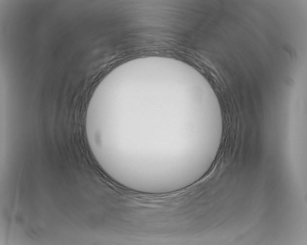 X0000113030033200908271105