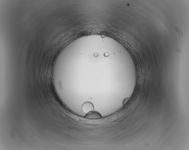 X0000113030034200908271105