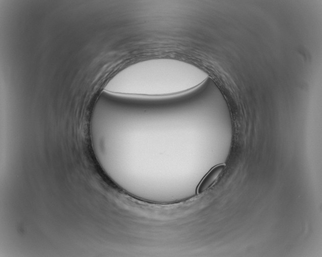 X0000113030035200908271105