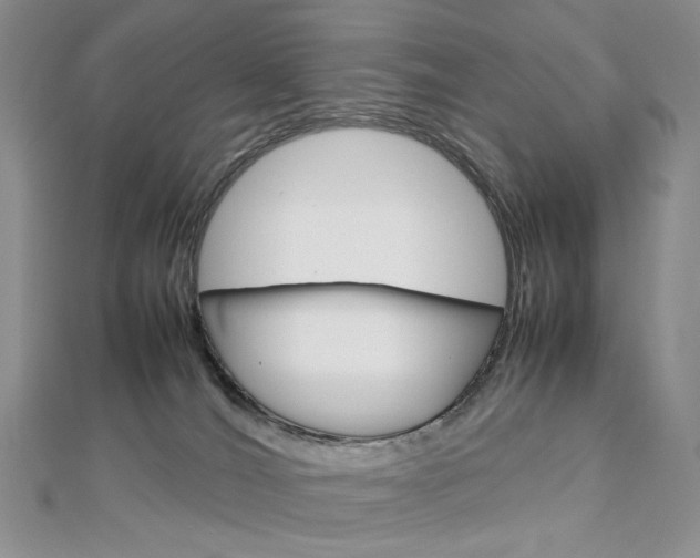 X0000113030036200908271105