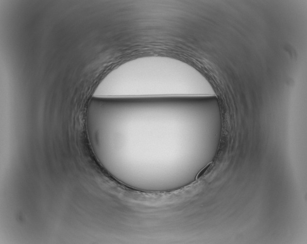 X0000113030037200908271105