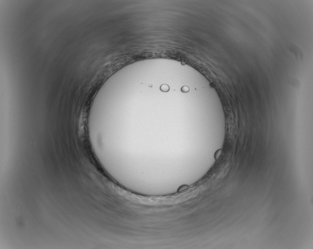 X0000113030038200908271105