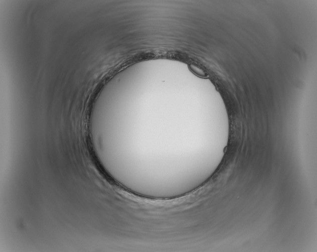 X0000113030039200908271105