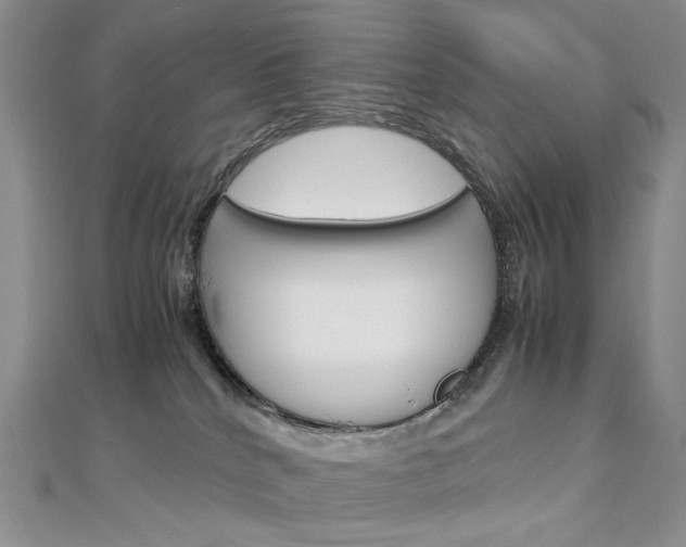 X0000113030040200908271105