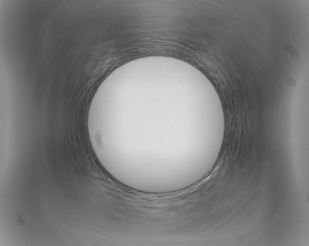 X0000113030041200908271105