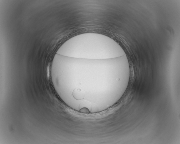 X0000113030042200908271105