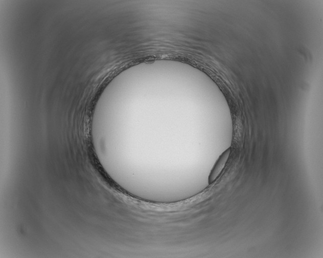 X0000113030043200908271105