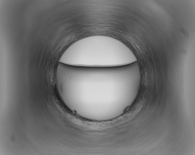 X0000113030044200908271104